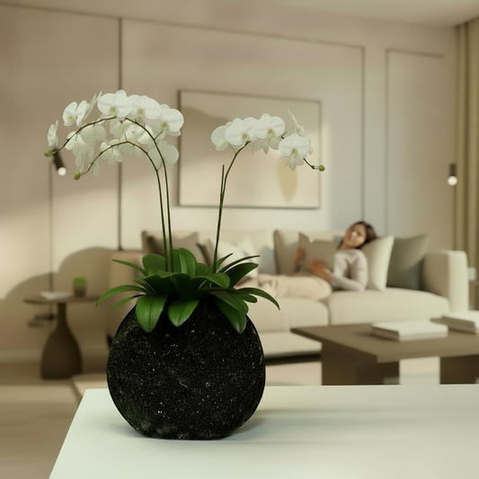 Vaso diffusore “Zen nero” – Linea Petali di Sughero - Fabris Solutions